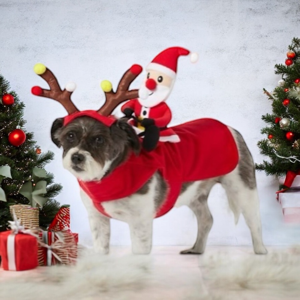 Festive Red Pet Costume with Santa and Reindeer Antlers